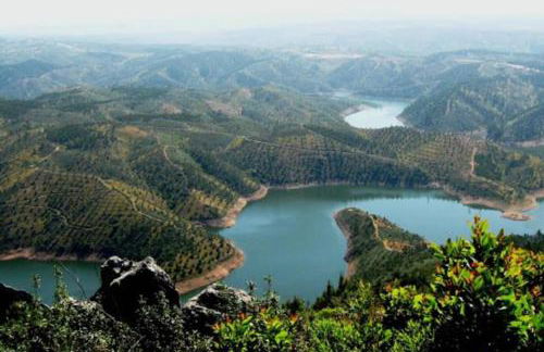 Palheirinho - Foto 34