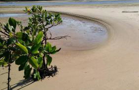 Vivenda Paz do Jubim - Foto 23