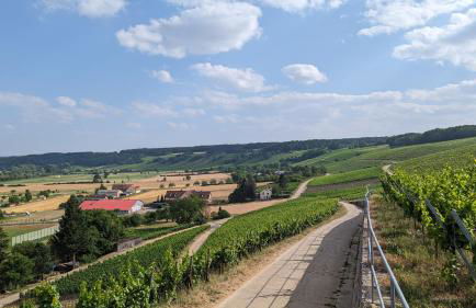 Ferienwohnung Michelskeller - Foto 13