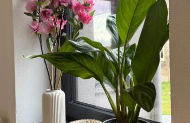 Mams-Cottage-Brunhilde - Foto 9