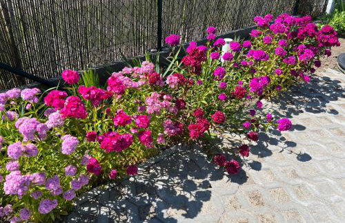 Domki Kapitana - Foto 15