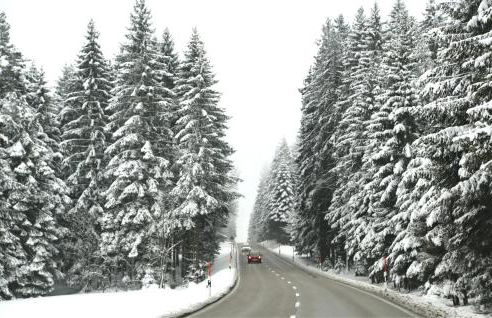 Das Waldhaus - Winter Boardinghaus - Photo 7