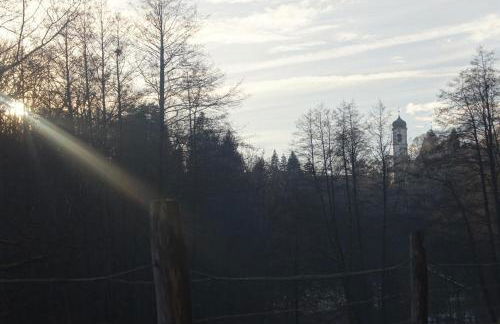 Ferienwohnung im Obstgarten - Foto 53