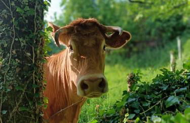 Boudoir Du Bonheur - Foto 19