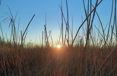 Ostseerauschen - Foto 44