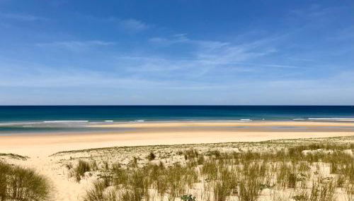 Vue Océan - Au Coeur de Contis Plage - Foto 2