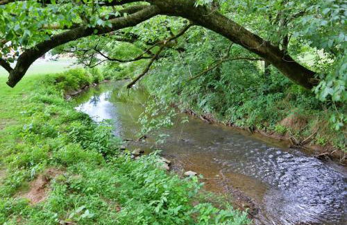 Meadow View Romantic Nature Stay w Barn, Outdoor Tub and Sauna - Foto 31