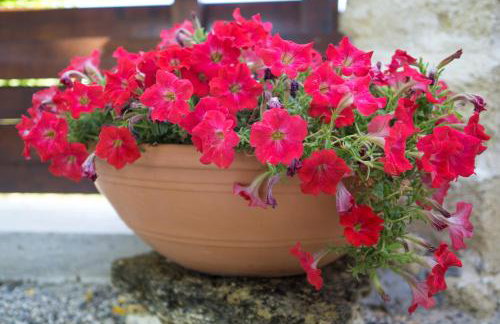 Villa Acacia - Foto 87