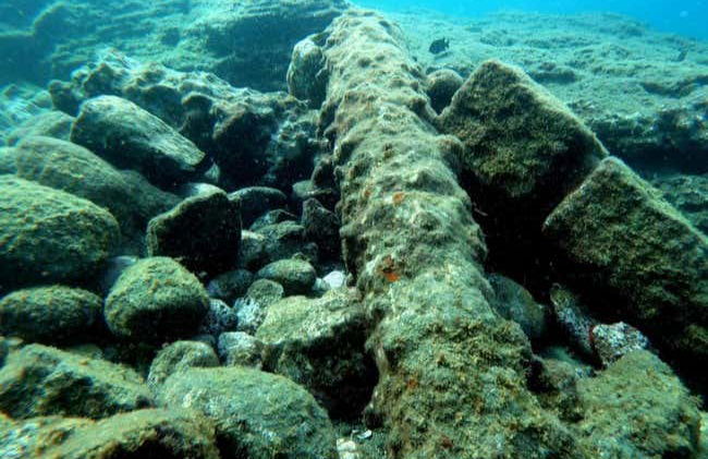 Snorkeling à São Miguel - Photo 3