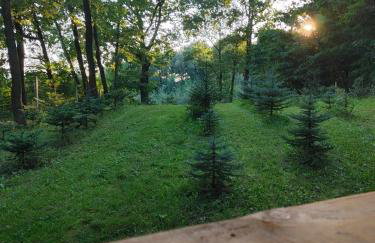 Domki Na Wiosce - Foto 26