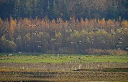 Au clos de marie - Foto 29