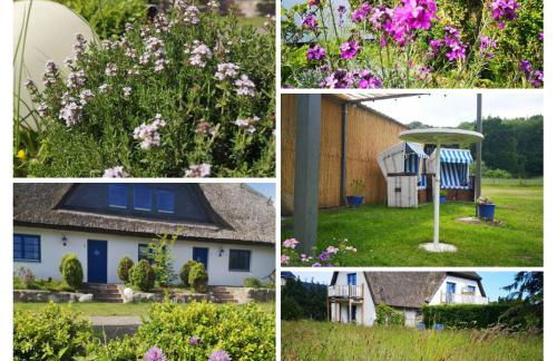 Appartements am Jagdschloss Whg 2 - Foto 9