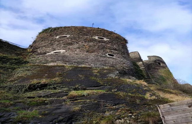 Holiday Home in La Roche With Sauna & Nature - Photo 38