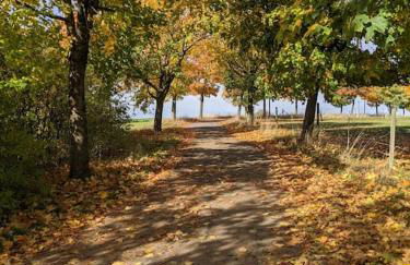 Auszeit Altenhorst, Bauernhaus - Foto 35