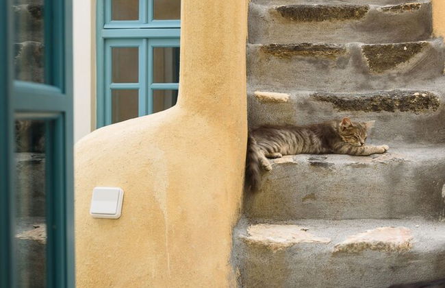 Santorinio Yellow House - Foto 41