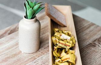 A21 Rhine view condo by the 3-countries-bridge - Foto 25