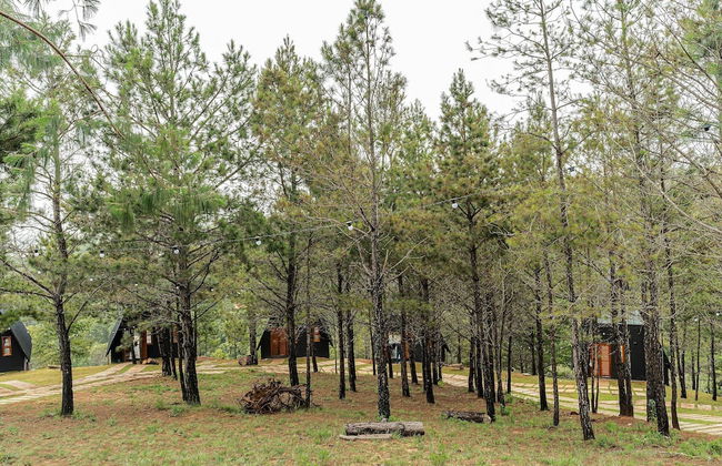 Chales Naturale - Campos do Jordão - CNA - Foto 33