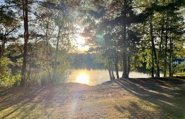 Bungalow in Bospark 't Wolfsven Near Nature - Photo 23