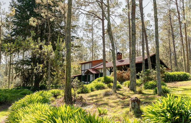 Villa Pajon Eco Lodge - Foto 30