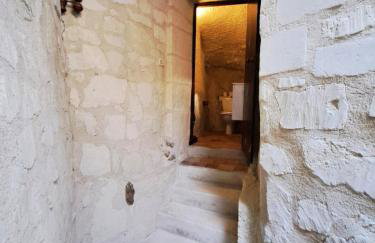 Le chant du troglodyte - Foto 25
