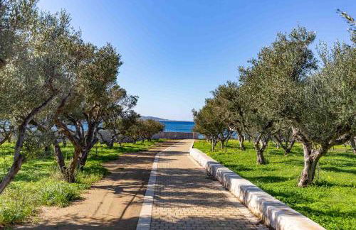 Yialos Neapoli - Foto 11