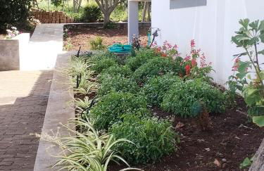 Avó Lucindinha House - Porto Moniz - Foto 47