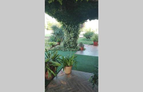 Alloggio nella Villa dell'Edera - Foto 21