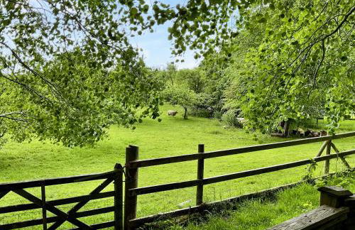 Court Place - Photo 14