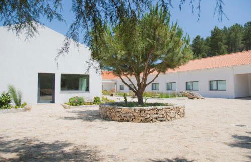 Quinta de Trancoso - Foto 3