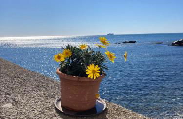 La Bruna sul mare - Foto 22