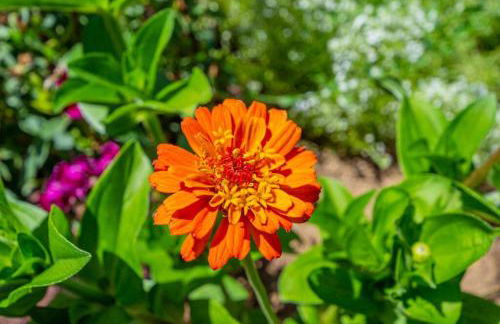 Alpine 4 Bedroom Retreat with Hot tub and Pool table - Foto 39