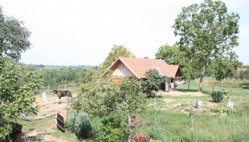 Farmica, Bed&Breakfast, Bazen izdvojen nekoliko minuta hoda - Foto 2