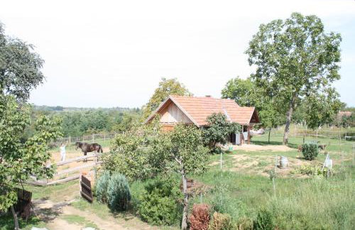 Farmica, Bed&Breakfast, Bazen izdvojen nekoliko minuta hoda - Foto 1