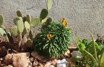 Sea house Anka - Foto 39