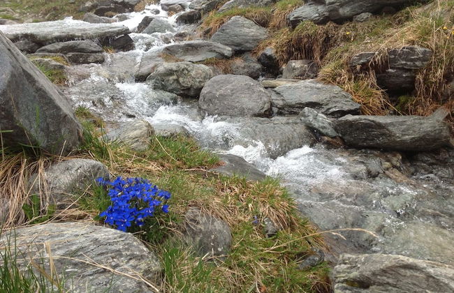 Apartment in Rennweg Near Katschberg Ski Area - Foto 30