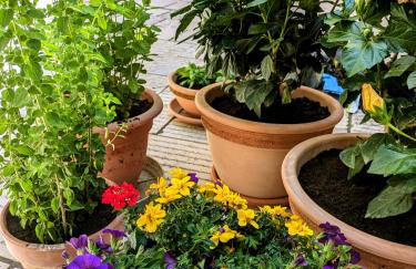 Il Muro d'Oro - Foto 26