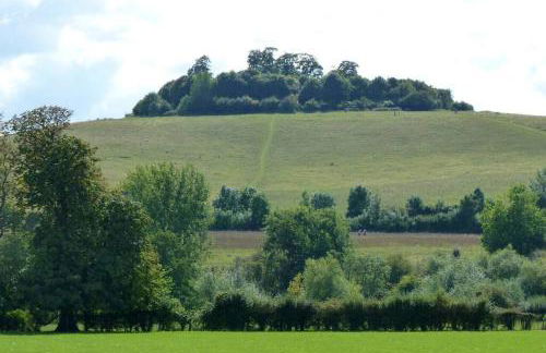 Didcot - Private Flat with Garden & Parking 07 - Foto 34