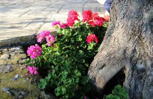 STONE ROSE VILLA - Foto 26