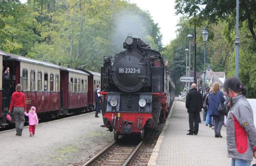 Charmante Finnhütte mit Garten - Foto 38