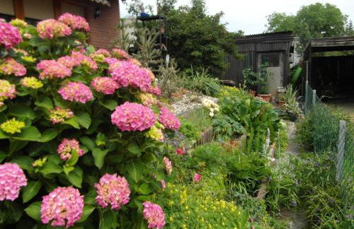 Ferienwohnung Borchert - Foto 2