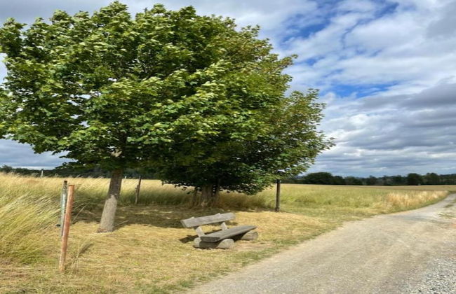 Ferienhaus in Lichtenhain - Foto 29