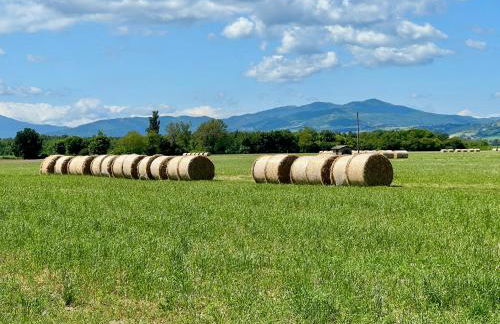 The Beekeeper, country escape & terrace near Parma - Photo 41
