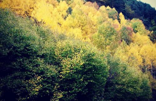 Casas de Zapatierno - Photo 19