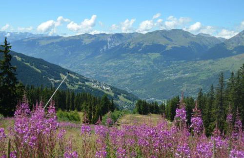 Gîte Les Grands Champs - Foto 12