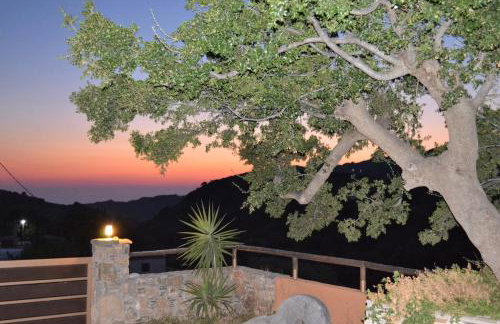 Archon Villa - Foto 16