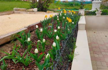 La Maison des oliviers - Foto 34