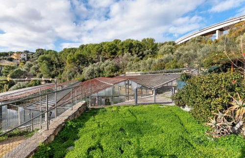 Sea Garden - San Bartolomeo al Mare - Foto 21