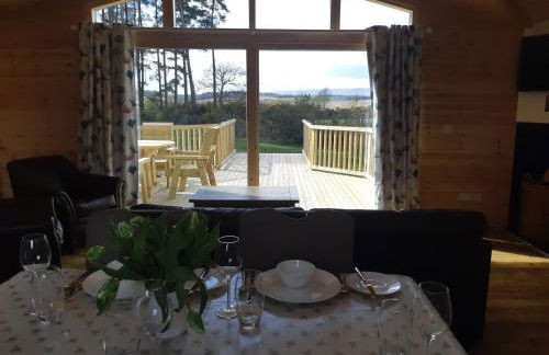 Birch Lodge, Pitlandie - Luxury 2 Bedroom Lodge with Sauna - Photo 12