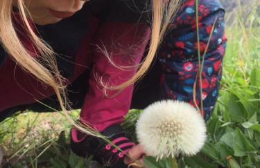 Gîte La Cerise Qui Rit - Photo 31