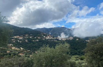 Grande maison à Belgodère Balagne - Foto 27